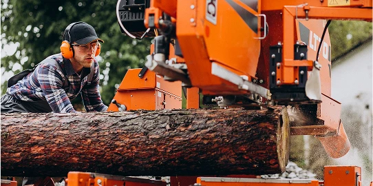 Broyage et rognage des souches