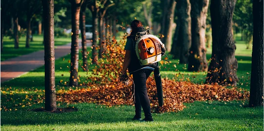 Débroussaillage et nettoyage du terrain
