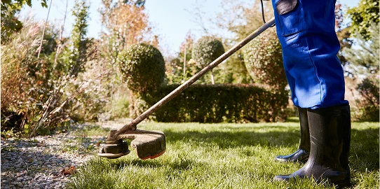 tonte pelouse valence