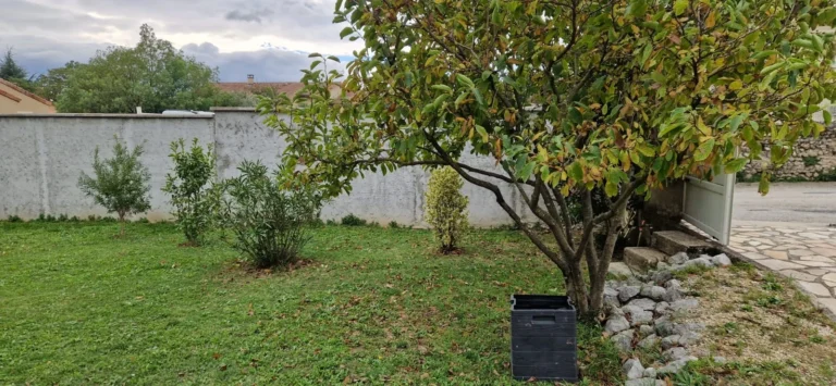 d2ea3c7c-3502-473b-a14b-e3d1f98bacc4