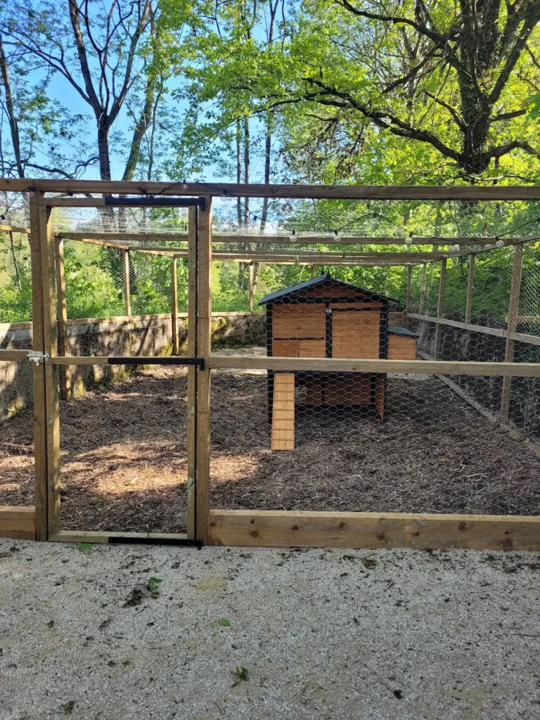 IMG_20260107_164024 (2)