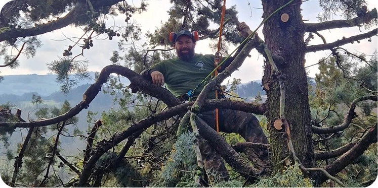 élagage d'arbres à valence