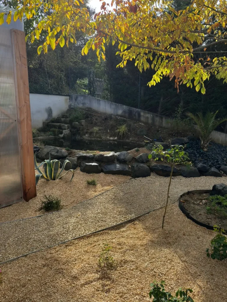 WhatsApp Image 2026-01-07 at 16.39.17 (3)