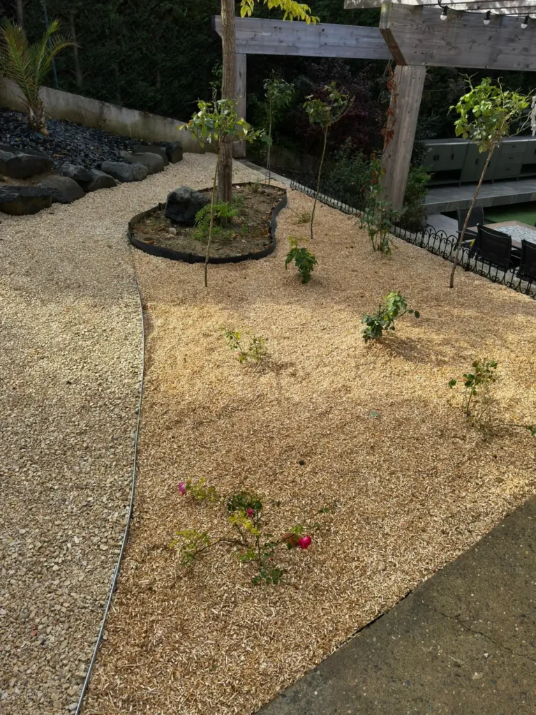 WhatsApp Image 2026-01-07 at 16.39.17 (4)