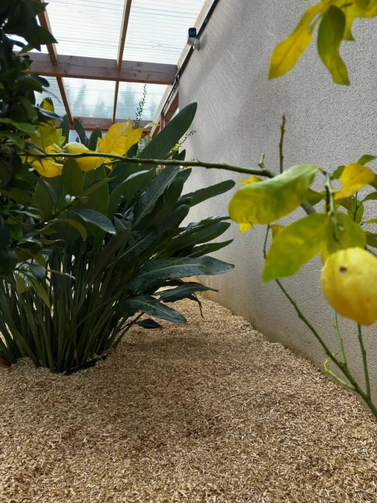 WhatsApp Image 2026-01-07 at 16.39.18 (2)