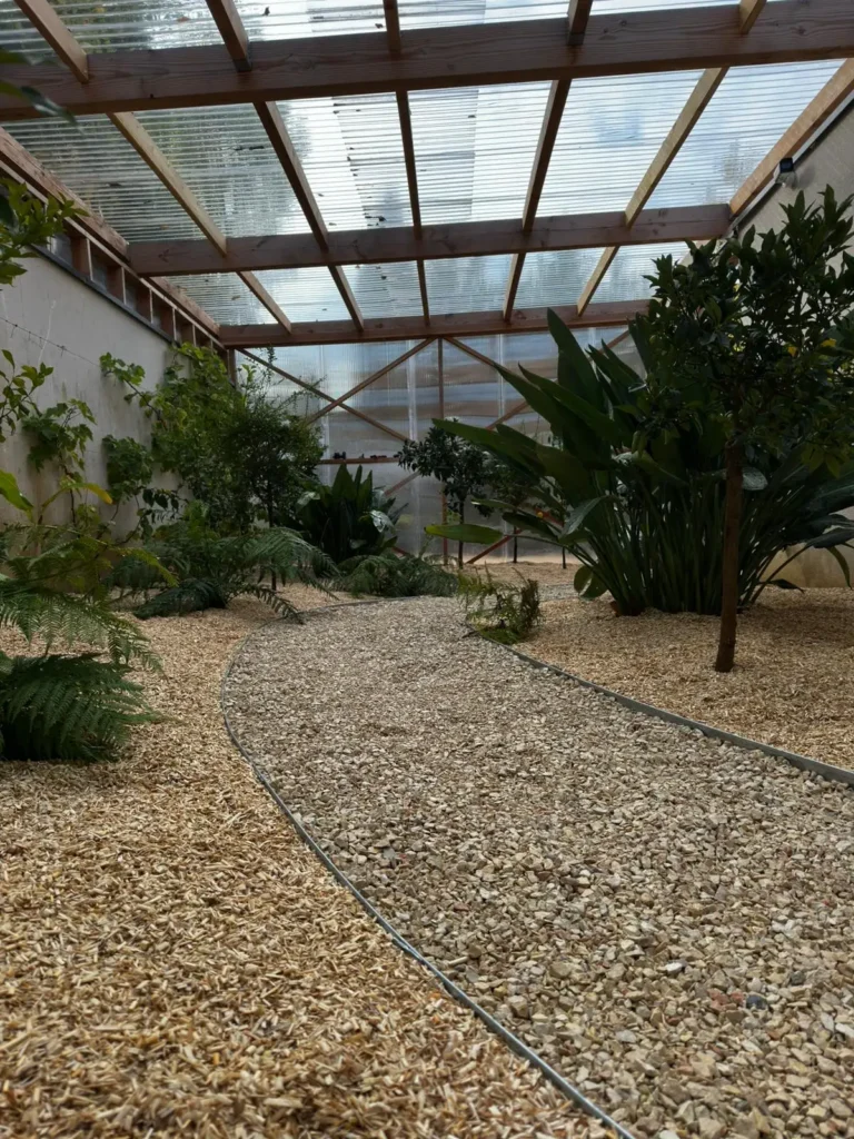 WhatsApp Image 2026-01-07 at 16.39.18 (3)