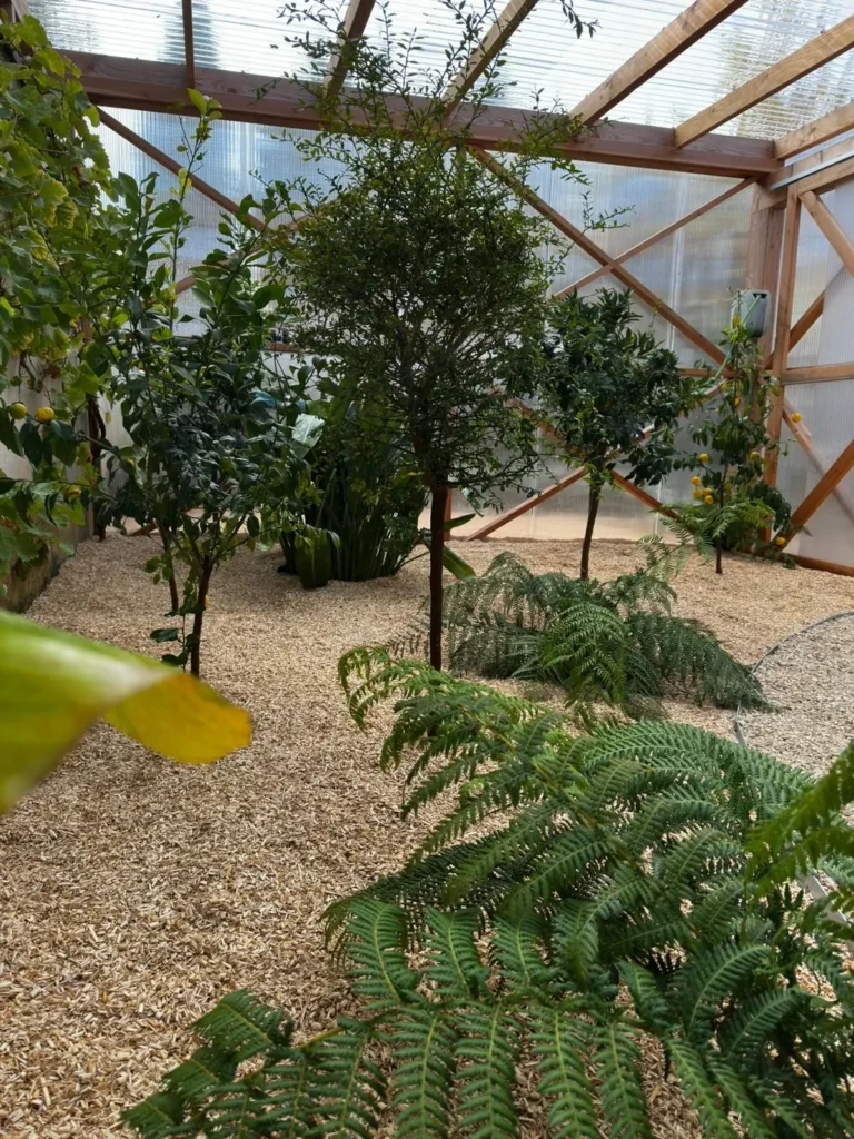 WhatsApp Image 2026-01-07 at 16.39.18