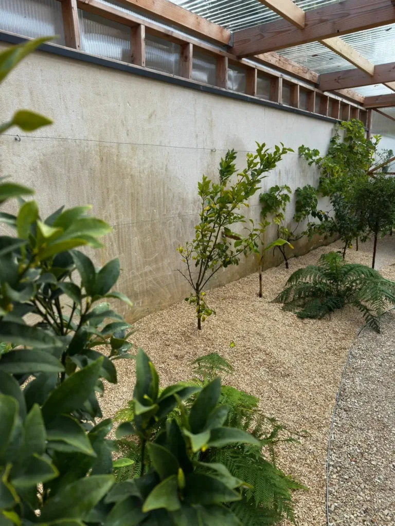 WhatsApp Image 2026-01-07 at 16.39.20